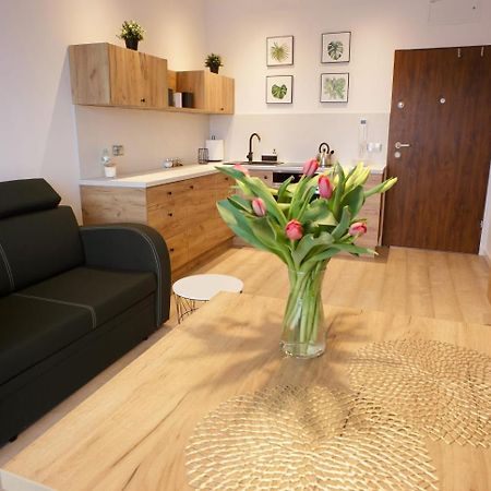 Apartament Na Piernikowym Z Miejscem Postojowym Thorn Exterior foto